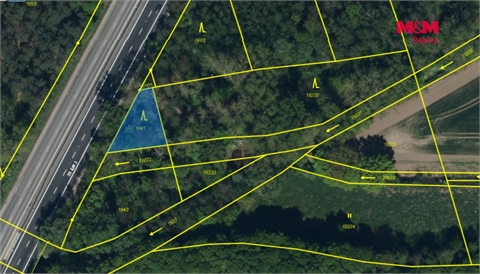 Prodej lesu, 3 361 m² 4