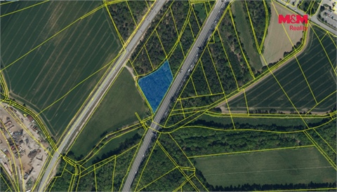 Prodej lesu, 3 361 m² - 0