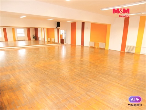 Pronájem obchodních prostor, 335 m² - 4