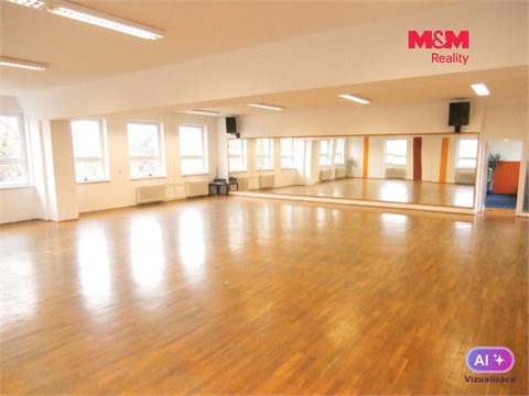 Pronájem obchodních prostor, 335 m² 6