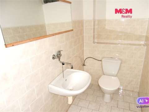 Pronájem obchodních prostor, 335 m² 8
