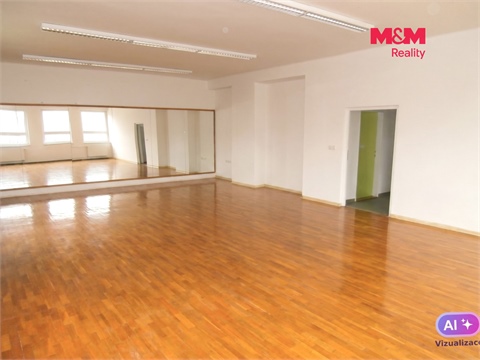 Pronájem obchodních prostor, 335 m² 10