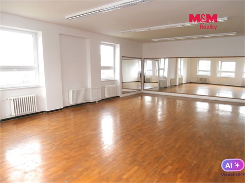 Pronájem obchodních prostor, 335 m² - 8