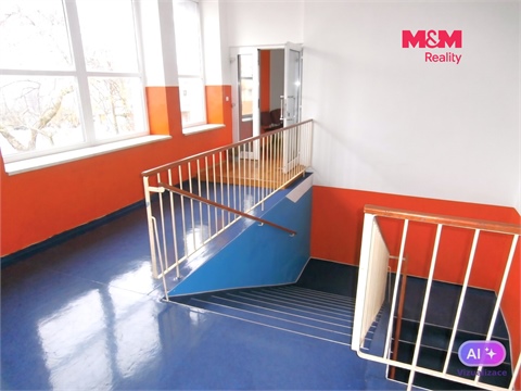 Pronájem obchodních prostor, 335 m² - 0