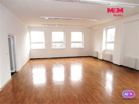 Pronájem obchodních prostor, 335 m² 2
