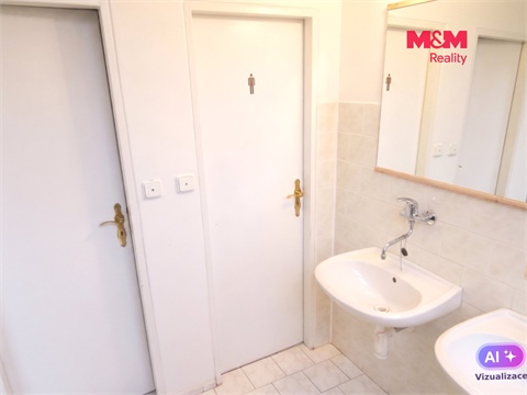 Pronájem obchodních prostor, 335 m² - 6