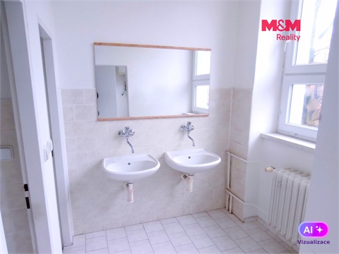 Pronájem obchodních prostor, 335 m² - 2