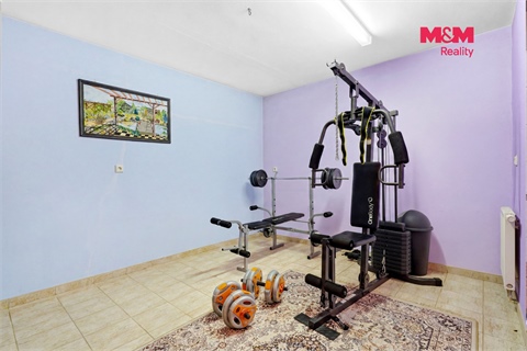 Prodej rodinného domu, 281 m² - 24