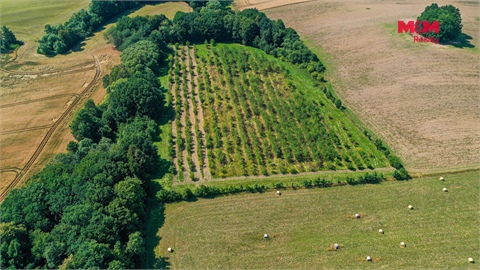 Prodej zemědělské půdy, 2 771 m² - 6