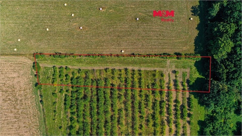 Prodej zemědělské půdy, 2 771 m² 0