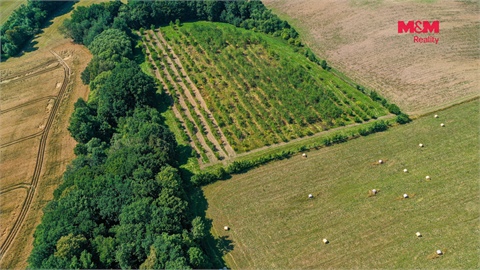 Prodej zemědělské půdy, 2 771 m² 6
