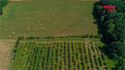 Prodej zemědělské půdy, 2 771 m² - 4