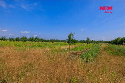 Prodej zemědělské půdy, 123 477 m² - 0