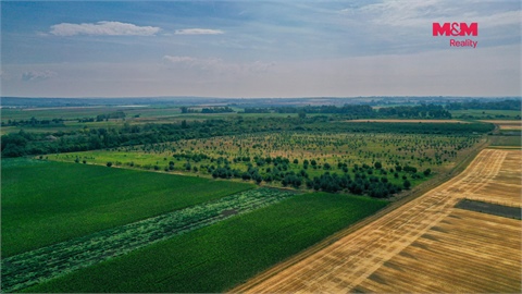 Prodej zemědělské půdy, 123 477 m² - 6
