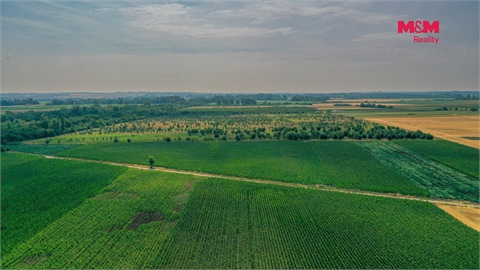 Prodej zemědělské půdy, 123 477 m² 6