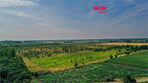 Prodej zemědělské půdy, 123 477 m² 0