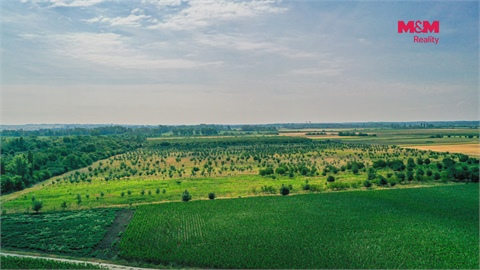 Prodej zemědělské půdy, 123 477 m² 4