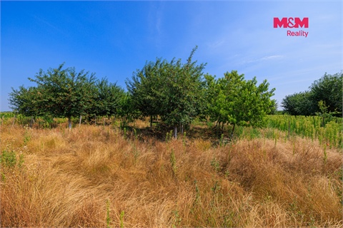 Prodej zemědělské půdy, 53 078 m² - 14