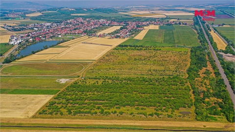 Prodej zemědělské půdy, 53 078 m² 12