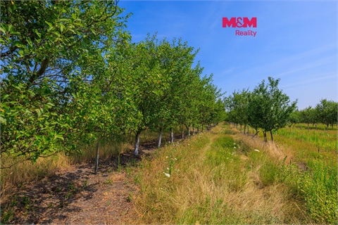 Prodej zemědělské půdy, 53 078 m² 0