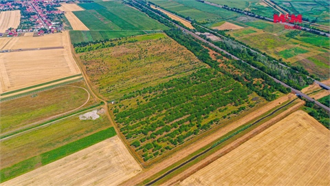 Prodej zemědělské půdy, 12 442 m² - 4