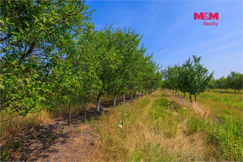 Prodej zemědělské půdy, 12 442 m² 14