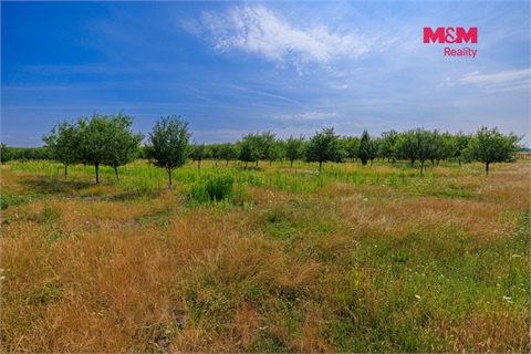 Prodej zemědělské půdy, 12 442 m² - 12