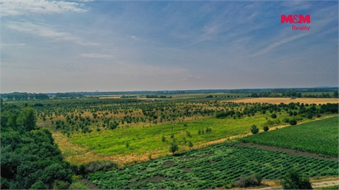 Prodej zemědělské půdy, 21 280 m² 2