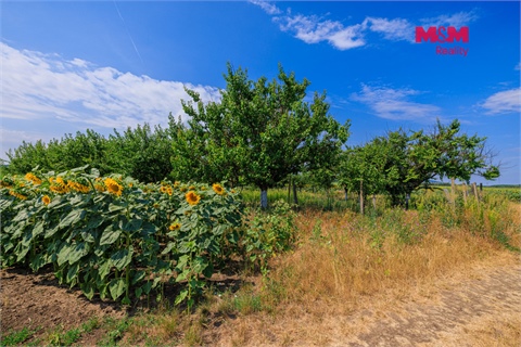 Prodej zemědělské půdy, 14 490 m² 2