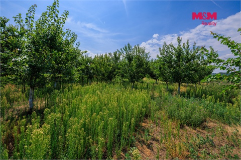 Prodej zemědělské půdy, 14 490 m² 4