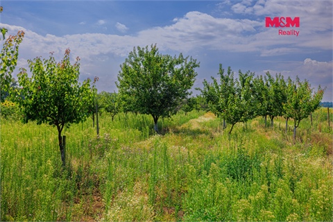 Prodej zemědělské půdy, 14 490 m² - 4