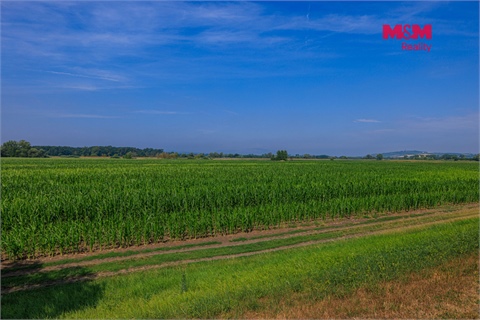 Prodej zemědělské půdy, 9 227 m² 2