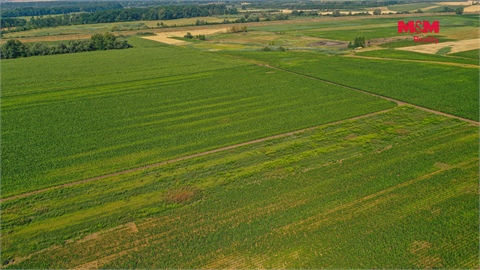 Prodej zemědělské půdy, 9 227 m² 4