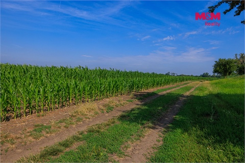 Prodej zemědělské půdy, 9 227 m² - 0
