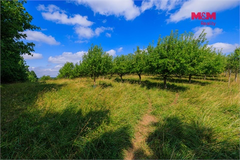 Prodej zemědělské půdy, 9 766 m² 12