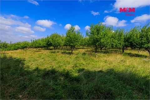 Prodej zemědělské půdy, 9 766 m² 2