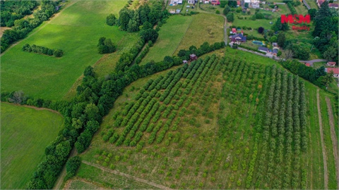 Prodej zemědělské půdy, 9 766 m² 6