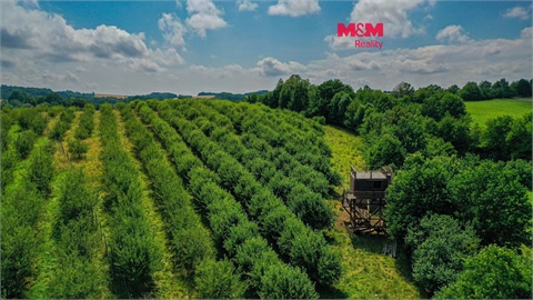 Prodej zemědělské půdy, 9 766 m² 0