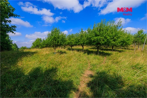 Prodej zemědělské půdy, 9 766 m² - 10