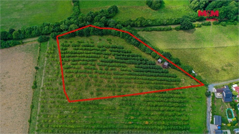 Prodej zemědělské půdy, 9 766 m² - 6
