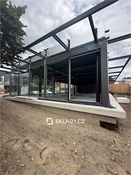 Pronájem obchodních prostor, 216 m² - 10