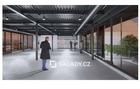 Pronájem obchodních prostor, 216 m² 0