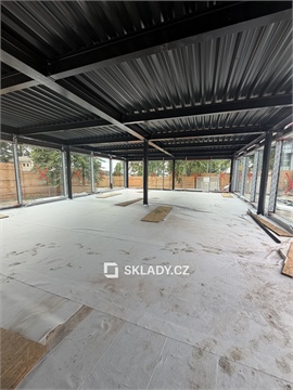 Pronájem obchodních prostor, 216 m² - 8
