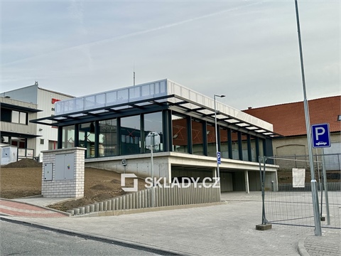 Pronájem obchodních prostor, 225 m² - 16