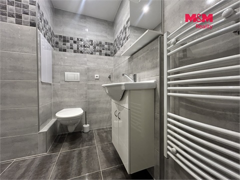 Pronájem bytu 1+1, 35 m² 12