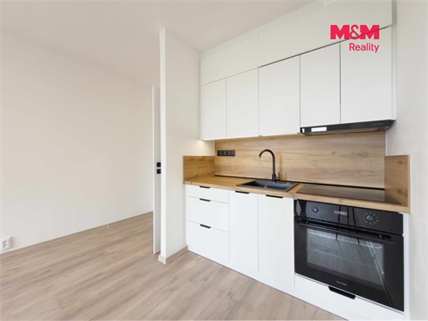 Pronájem bytu 1kk, 30 m² 14