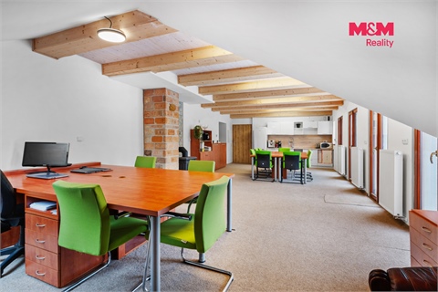 Prodej obchodních prostor, 600 m² - 20