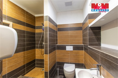 Prodej rodinného domu, 320 m² - 8