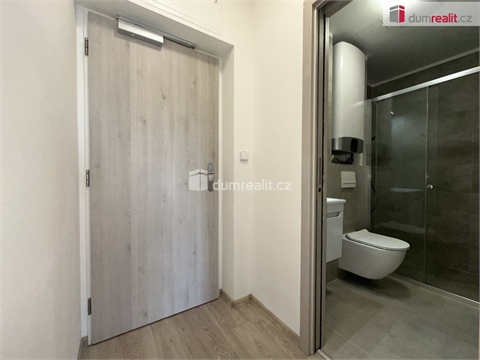 Pronájem bytu 1kk, 25 m² 4