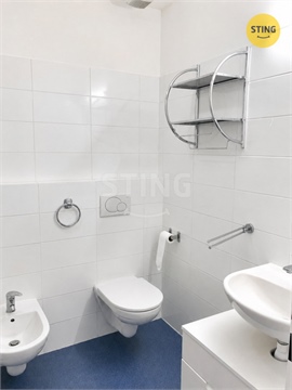Pronájem bytu 3kk, 95 m² 12
